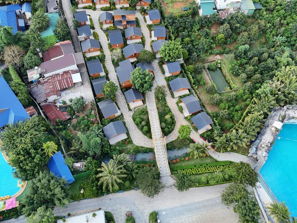 I Segreti per una Vita Salutevole e Felice