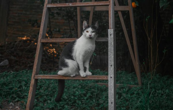 Guida alla Gravidanza Serene e Sicure